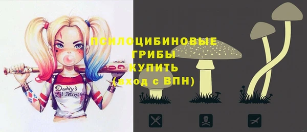 ECSTASY Няндома