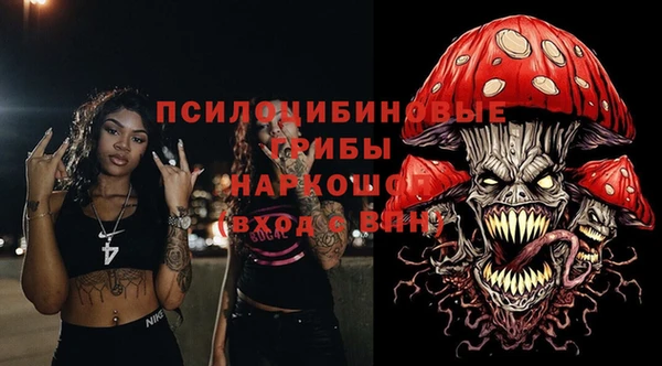 PSILOCYBIN Волоколамск