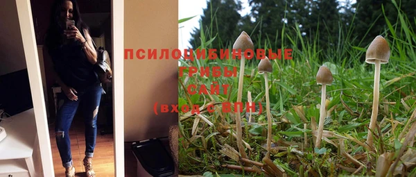 ГАЛЛЮЦИНОГЕННЫЕ ГРИБЫ Нягань