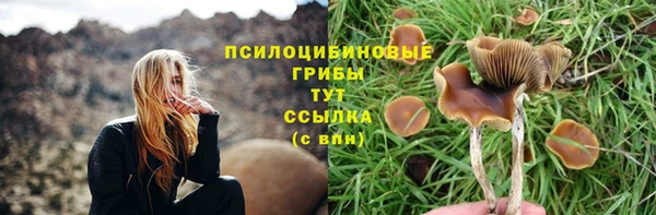 ГАЛЛЮЦИНОГЕННЫЕ ГРИБЫ Нягань