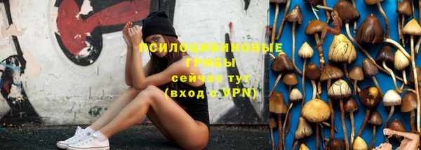 ECSTASY Няндома