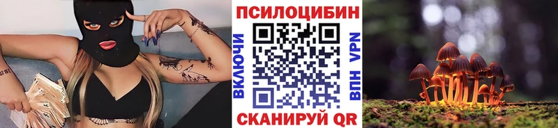 Галлюциногенные грибы Psilocybe  магазин продажи   Барабинск 