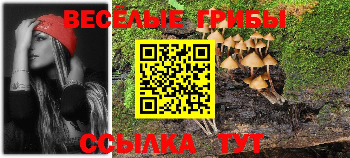 Псилоцибиновые грибы ЛСД Барабинск